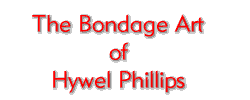 The Bondage Art of Hywel Phillips