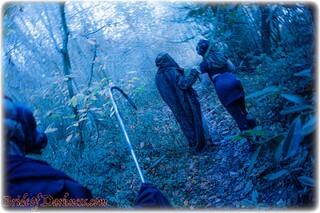 Bondage photo pic picture Cherry English and Lucy Lauren rope bondage, frogtie, barefoot, shackles, horror, skirt, boots, humiliation, leg irons, lingerie, chains, metal bondage, collar, nude, outdoor, ungagged, fantasy