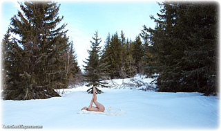 Bondage photo pic picture Ariel Anderssen barefoot, shackles, leg irons, metal bondage, collar, nude, outdoor