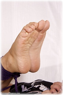 Bondage photo pic picture Foxy rope bondage, barefoot, satin, hogtie, silk, cloth gag